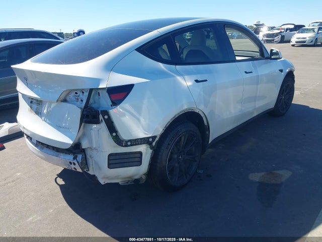 2023 TESLA MODEL Y 7SAYGDEE0PF696254 Photo 3