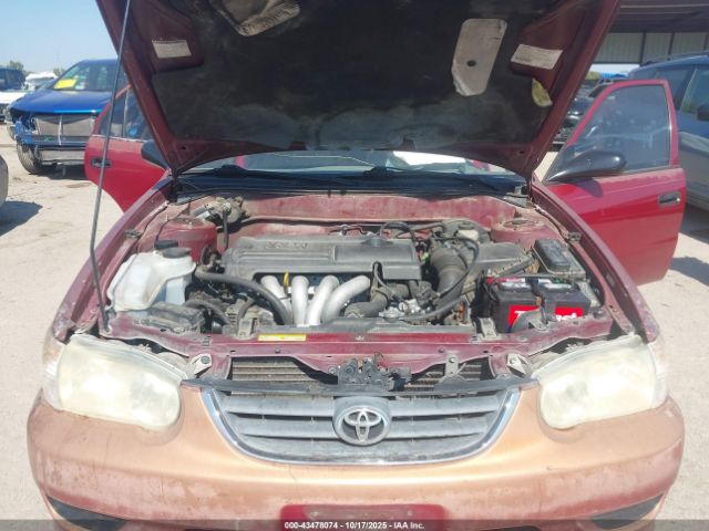 2002 TOYOTA COROLLA 1NXBR12E32Z576184 Photo 9