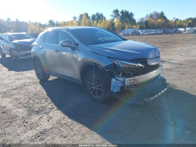 2023 LEXUS NX 350 2T2AGCEZ7PC018094