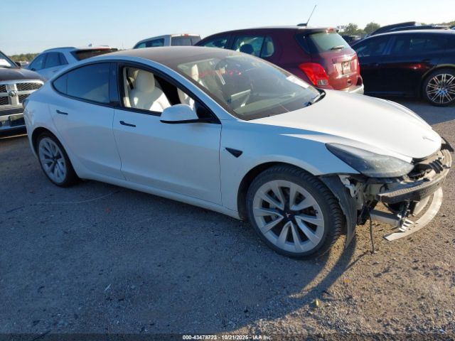 2023 TESLA MODEL 3 5YJ3E1EA1PF384209 Photo 0