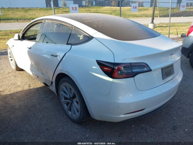 2023 TESLA MODEL 3 5YJ3E1EA1PF384209 Photo 2