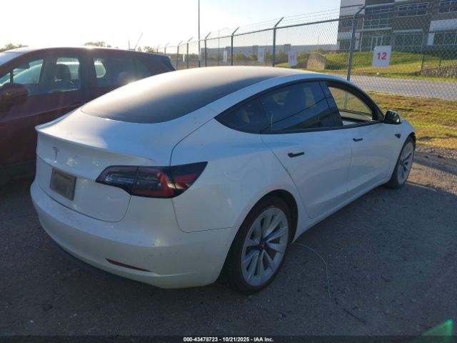 2023 TESLA MODEL 3 5YJ3E1EA1PF384209 Photo 3