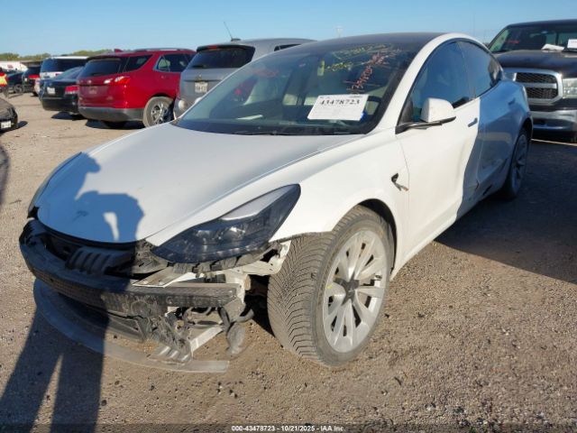 2023 TESLA MODEL 3 5YJ3E1EA1PF384209 Photo 5