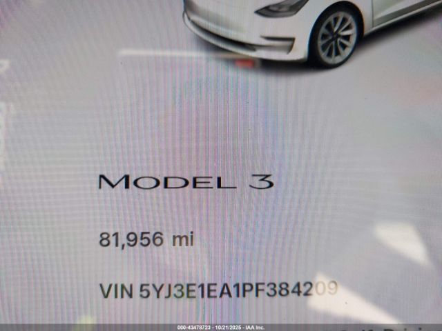 2023 TESLA MODEL 3 5YJ3E1EA1PF384209 Photo 6