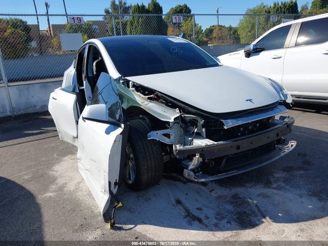 2023 TESLA MODEL Y 7SAYGDEE6PA063612 Photo 0