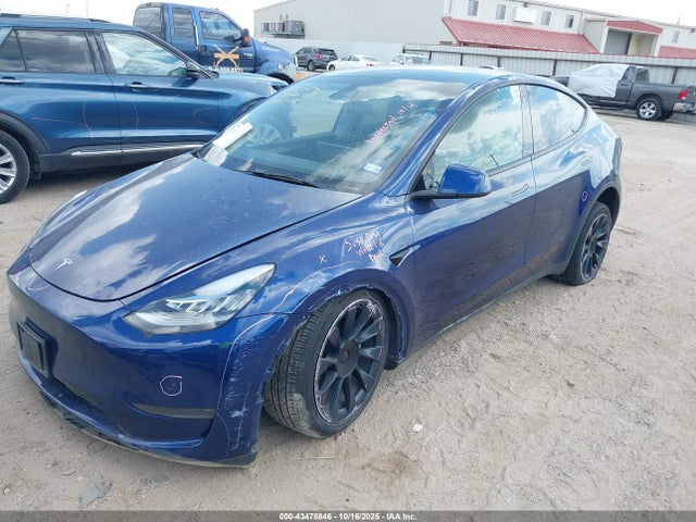 2023 TESLA MODEL Y 7SAYGDEE1PA051528 Photo 1