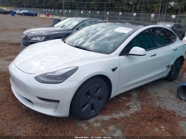 2023 TESLA MODEL 3 5YJ3E1EB6PF462766 Photo 1