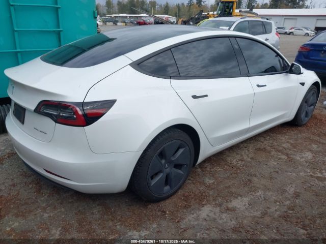 2023 TESLA MODEL 3 5YJ3E1EB6PF462766 Photo 3
