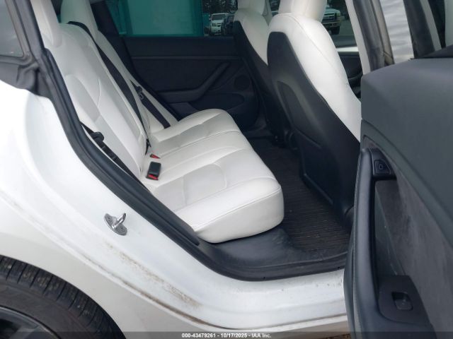 2023 TESLA MODEL 3 5YJ3E1EB6PF462766 Photo 7