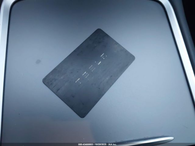 2023 TESLA MODEL Y 7SAYGDEE1PF749270 Photo 10