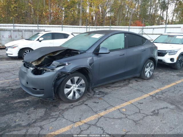 2023 TESLA MODEL Y 7SAYGDEE1PF749270 Photo 1