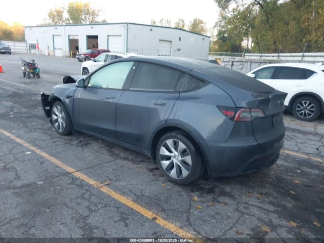 2023 TESLA MODEL Y 7SAYGDEE1PF749270 Photo 2