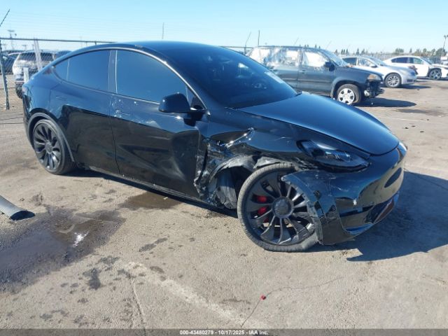 2023 TESLA MODEL Y 7SAYGDEF7PF908219 Photo 0
