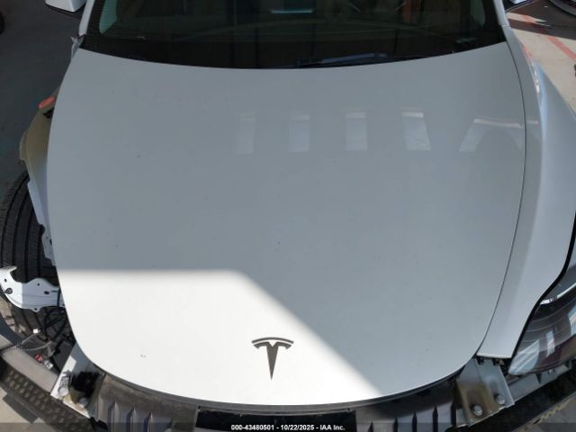 2023 TESLA MODEL 3 5YJ3E1EAXPF509000 Photo 9