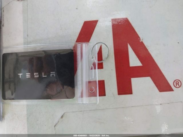 2023 TESLA MODEL 3 5YJ3E1EAXPF509000 Photo 10