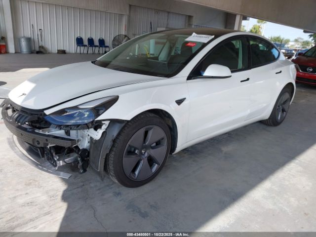 2023 TESLA MODEL 3 5YJ3E1EAXPF509000 Photo 1