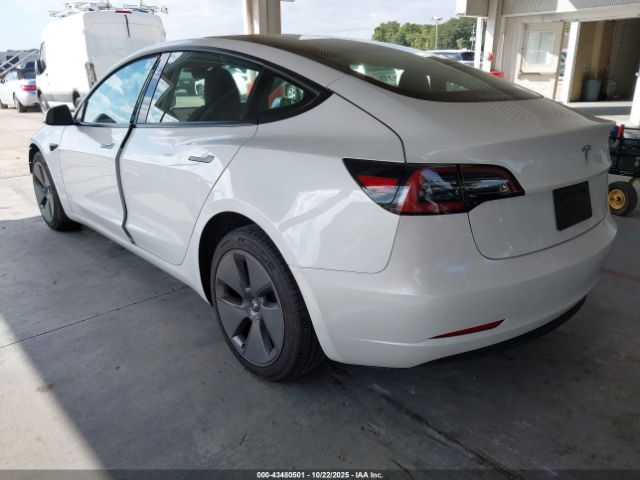 2023 TESLA MODEL 3 5YJ3E1EAXPF509000 Photo 2