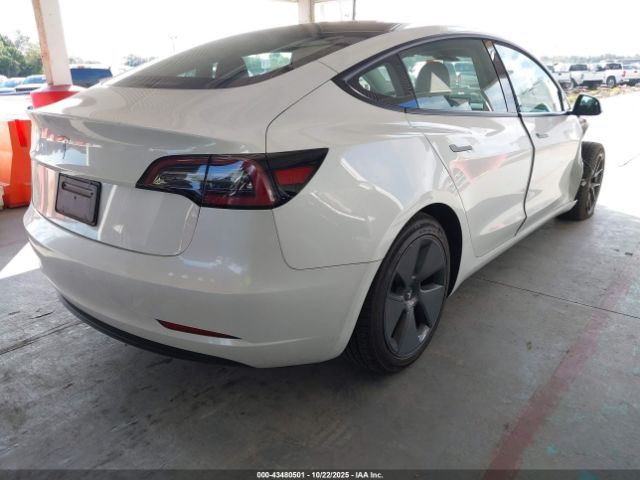 2023 TESLA MODEL 3 5YJ3E1EAXPF509000 Photo 3