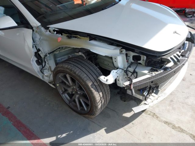 2023 TESLA MODEL 3 5YJ3E1EAXPF509000 Photo 5