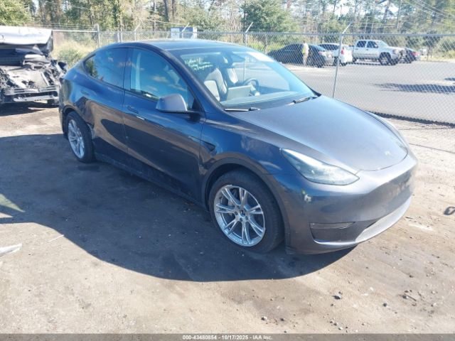 2024 TESLA MODEL Y 7SAYGDEE8RA234511 Photo 0