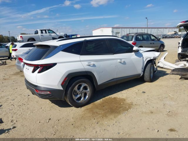 2023 HYUNDAI TUCSON 5NMJB3AE6PH254140 Photo 3