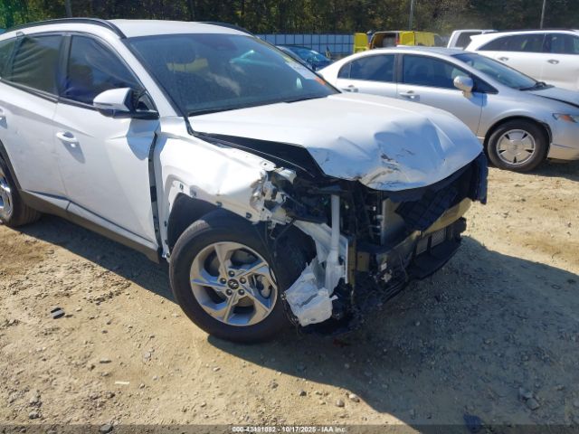 2023 HYUNDAI TUCSON 5NMJB3AE6PH254140 Photo 5