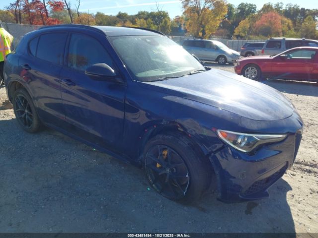 2021 ALFA ROMEO STELVIO ZASPAKBN2M7D10994