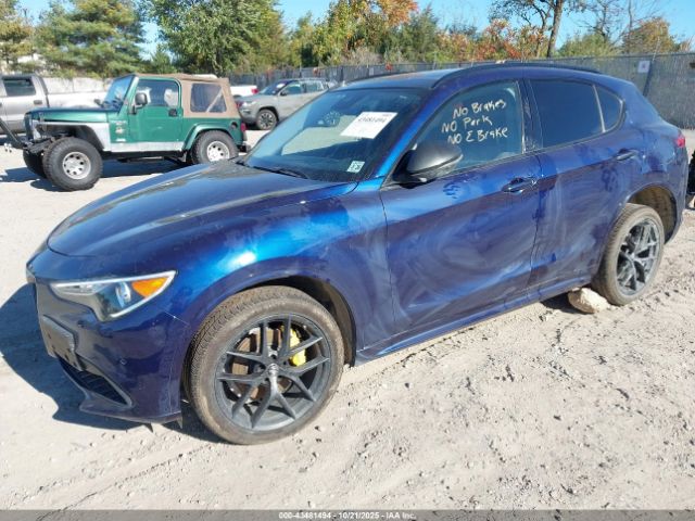 2021 ALFA ROMEO STELVIO ZASPAKBN2M7D10994 Photo 1