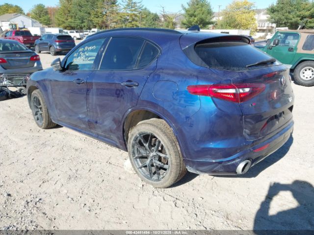 2021 ALFA ROMEO STELVIO ZASPAKBN2M7D10994 Photo 2