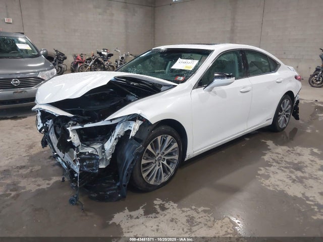 Lexus ES 300H 2021 58ADA1C14MU012406 Image 2