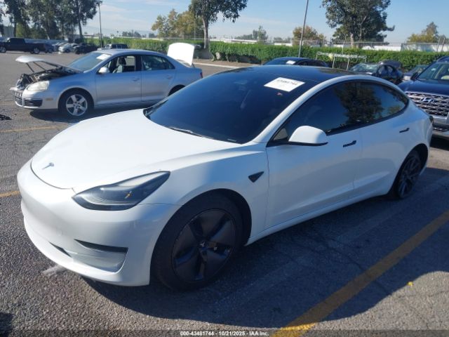2023 TESLA MODEL 3 5YJ3E1EA6PF437714 Photo 1