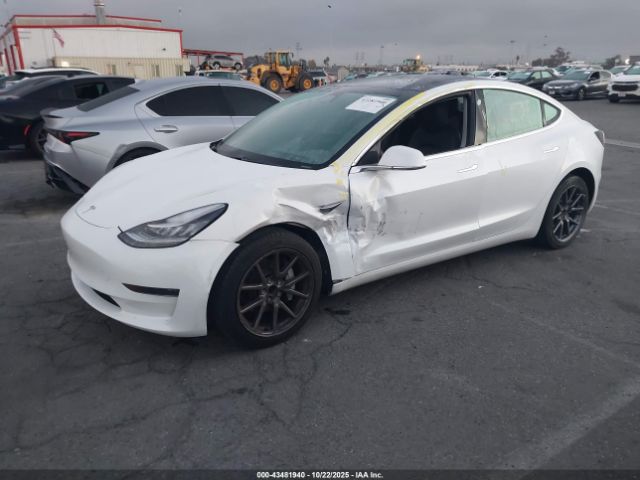 2020 TESLA MODEL 3 5YJ3E1EA5LF744897 Photo 1