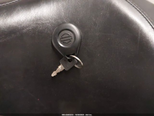 2007 HARLEY-DAVIDSON XL1200 1HD1CT3197K413436 Photo 10