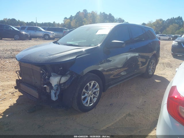 Продажа на аукционе авто 2019 Chevrolet Equinox Ls, vin: 2GNAXHEV7K6119796, номер лота: 43483239