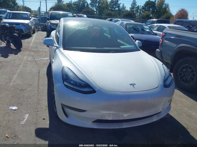 2019 TESLA MODEL 3 5YJ3E1EB2KF199779 Photo 5