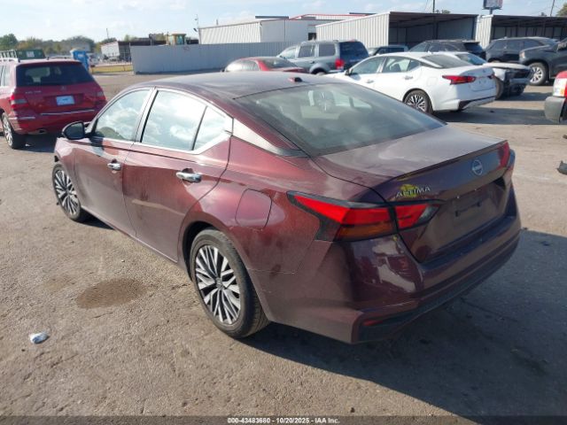 2024 NISSAN ALTIMA 1N4BL4DV7RN319785 Photo 2
