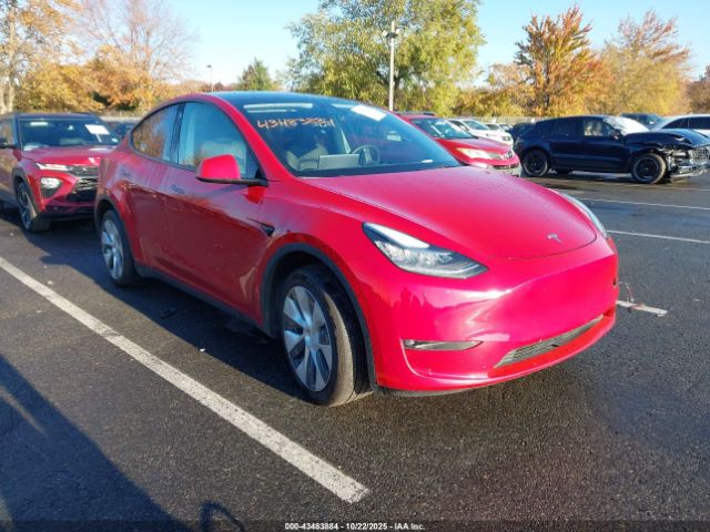 2021 TESLA MODEL Y 5YJYGDEE9MF208671 Photo 0