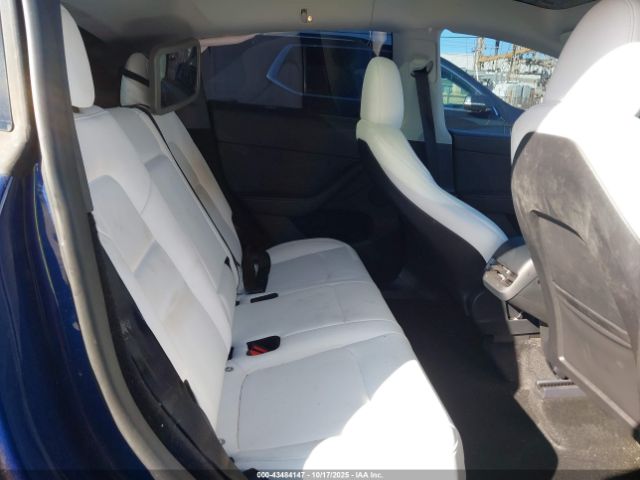 2024 TESLA MODEL Y 7SAYGDEE2RA252485 Photo 7