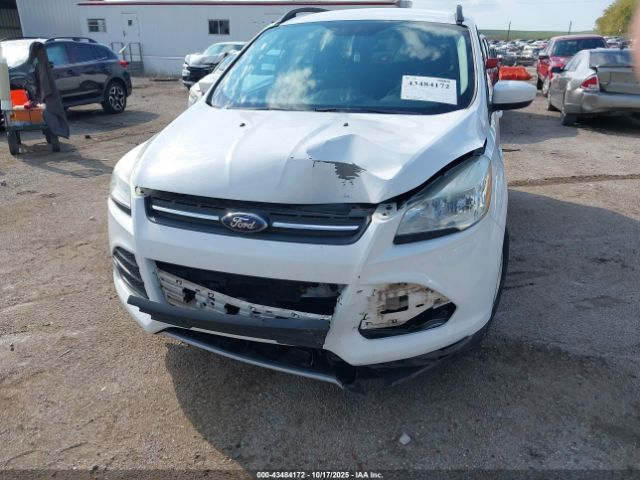 2016 FORD ESCAPE 1FMCU0GX8GUB34919 Photo 5