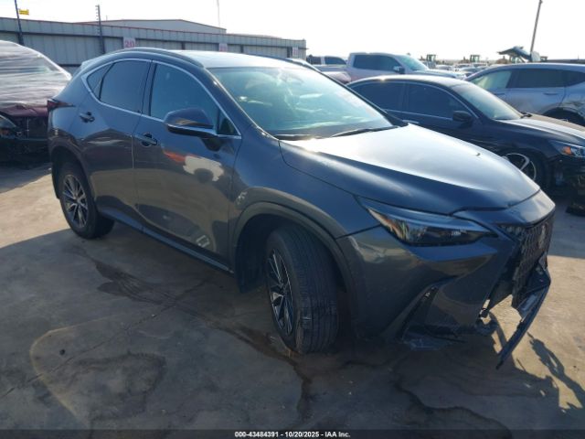 2024 LEXUS NX 250 2T2ADCAZ9RC010547