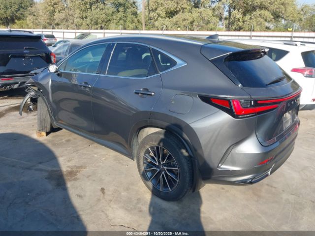 2024 LEXUS NX 250 2T2ADCAZ9RC010547 Photo 2