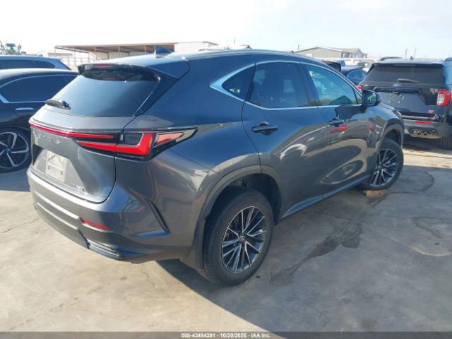 2024 LEXUS NX 250 2T2ADCAZ9RC010547 Photo 3