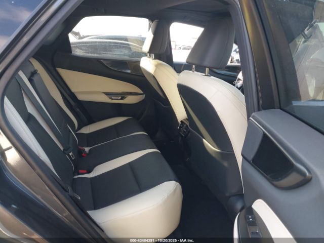 2024 LEXUS NX 250 2T2ADCAZ9RC010547 Photo 7