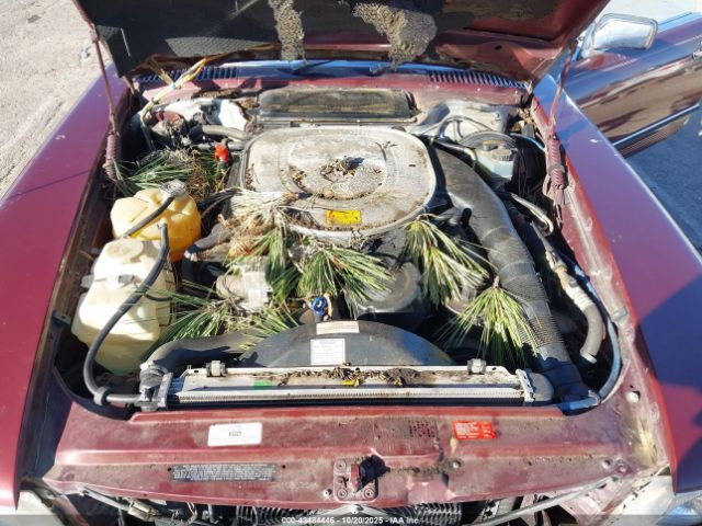 1986 MERCEDES-BENZ 560 WDBBA48D9GA036714 Photo 9