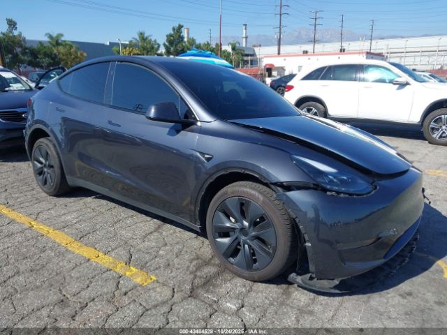 2024 TESLA MODEL Y 7SAYGDED2RF198566