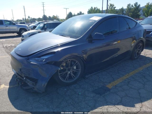 2024 TESLA MODEL Y 7SAYGDED2RF198566 Photo 1