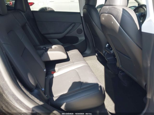 2024 TESLA MODEL Y 7SAYGDED2RF198566 Photo 7