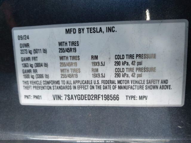 2024 TESLA MODEL Y 7SAYGDED2RF198566 Photo 8