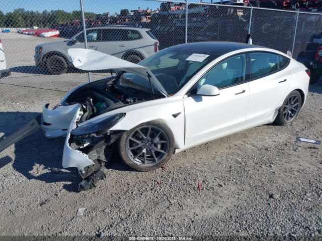 2023 TESLA MODEL 3 5YJ3E1EA4PF574036 Photo 1