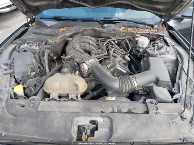 2015 FORD MUSTANG 1FA6P8AM5F5344270 Photo 9